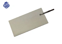 Platinasta elektroda za ionizator vode